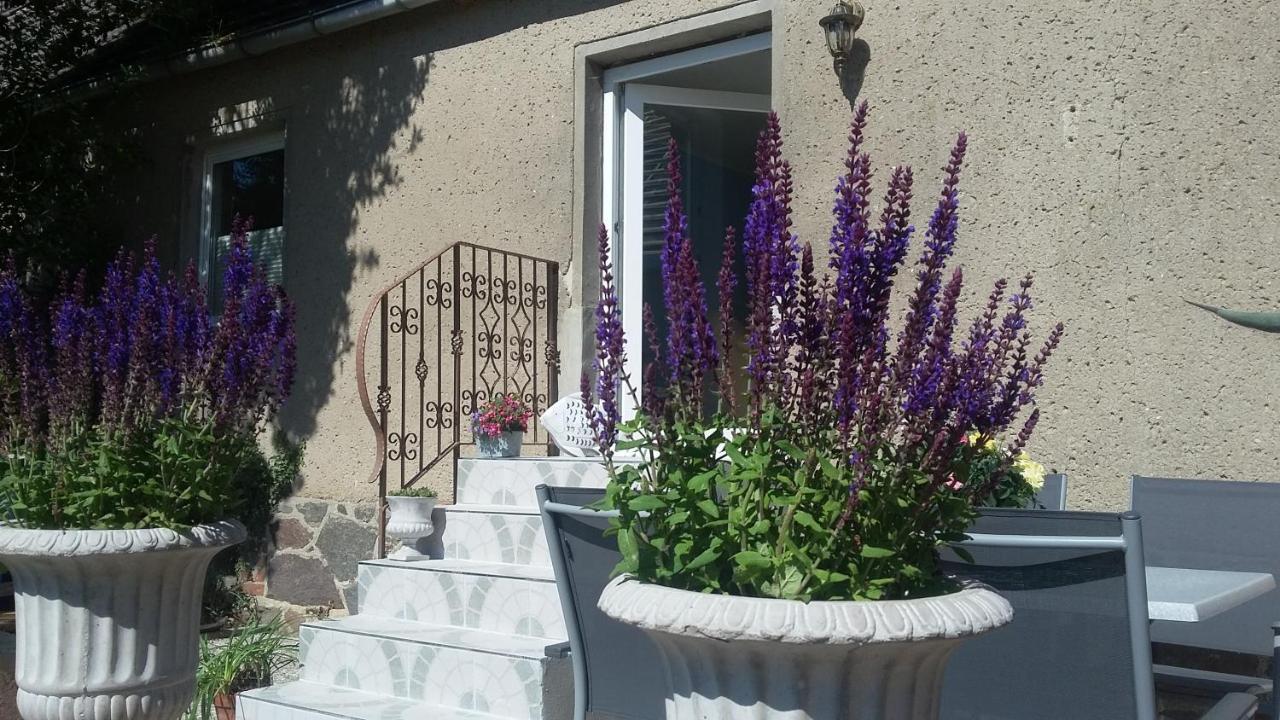 Strandhaus Mariflor Brook Exteriér fotografie